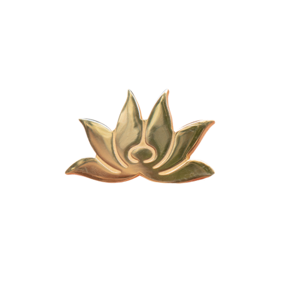 pin cài áo vietnam airline